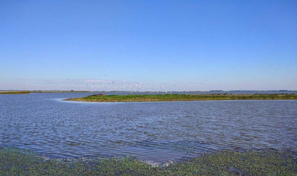Tisza and Tiszafüred